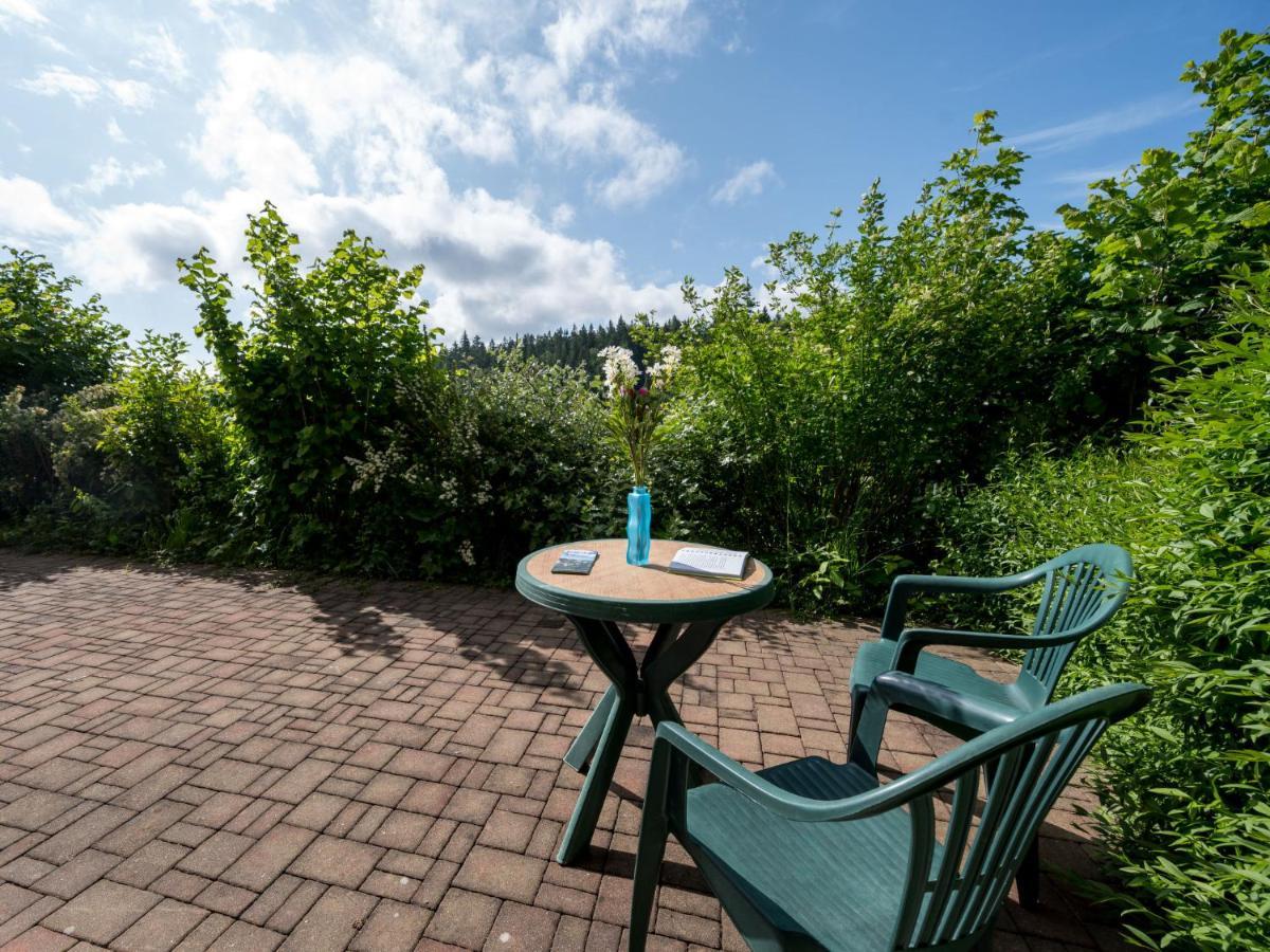 Apartment Slunecni Stran II By Interhome Janské Lázně Eksteriør billede